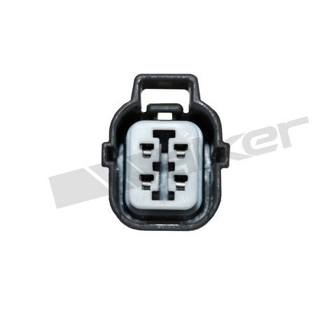 https://www.ShowMeThePartsdb.com/bin/images/WalkerProducts/350-64042_4.jpg