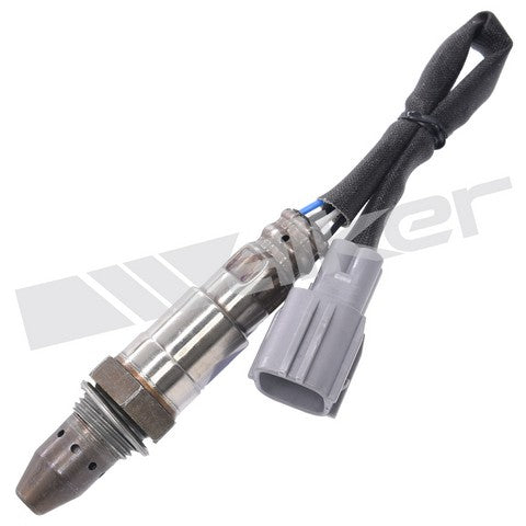 Walker Products Oxygen Sensor  350-64044