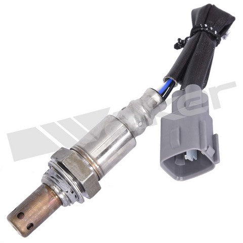 Walker Products Oxygen Sensor  350-64064