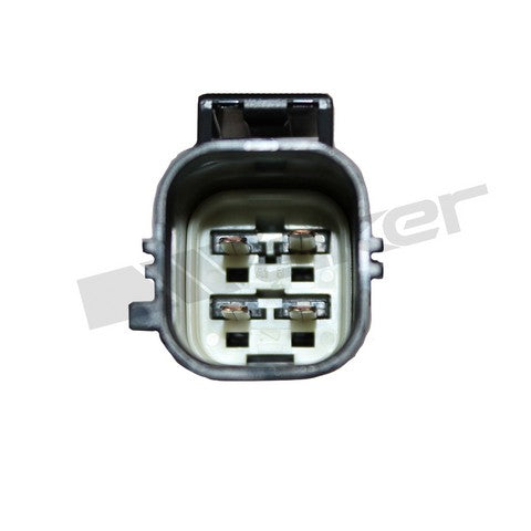 https://www.ShowMeThePartsdb.com/bin/images/WalkerProducts/350-64077_4.jpg