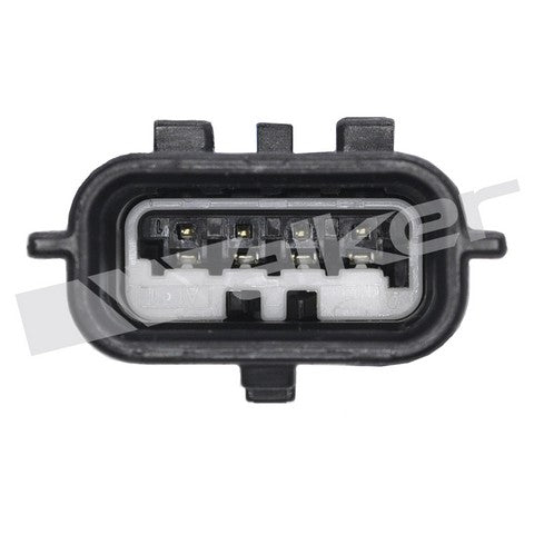 https://www.ShowMeThePartsdb.com/bin/images/WalkerProducts/350-64119_3.jpg