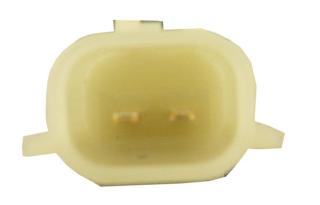 ACI Window Motor  382362