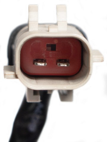 ACI Window Motor  386948