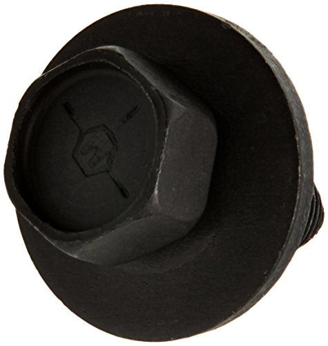 https://m.media-amazon.com/images/I/41DQAKkNwhL.jpg