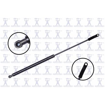 https://m.media-amazon.com/images/I/41Dyf+YJpnL.jpg
