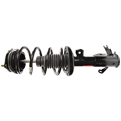 Monroe Shocks & Struts Suspension Strut and Coil Spring Assembly  172925