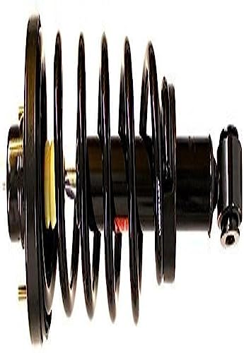 Monroe Shocks & Struts Suspension Strut and Coil Spring Assembly  171138