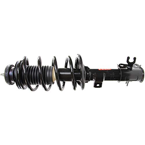 Monroe Shocks & Struts Suspension Strut and Coil Spring Assembly  172296