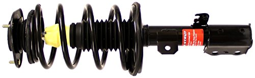 Monroe Shocks & Struts Suspension Strut and Coil Spring Assembly  172117