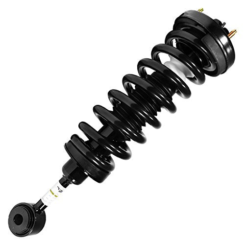 Unity Automotive Suspension Strut and Coil Spring Assembly  11380