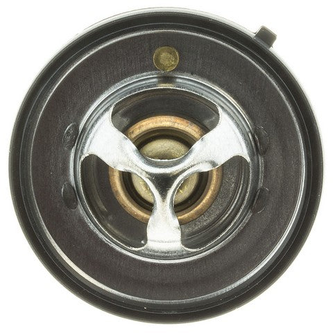 Motorad Engine Coolant Thermostat  420-195