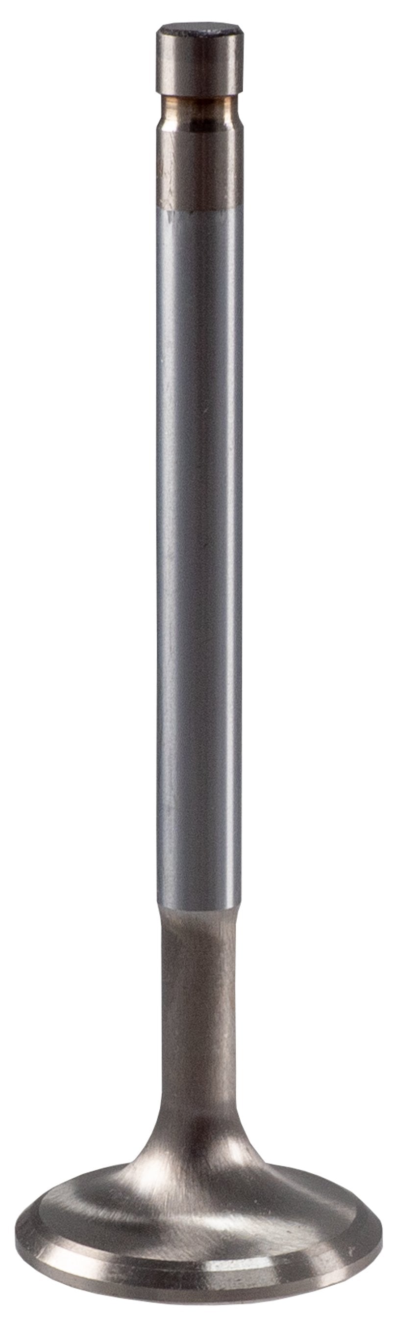 Melling Select Performance Engine Exhaust Valve  456309