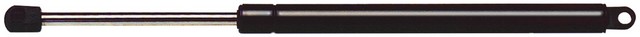 Strong Arm Hood Lift Support  4743