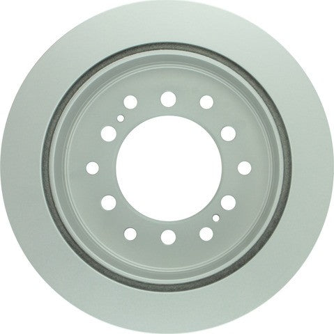Bosch Disc Brake Rotor  50011237