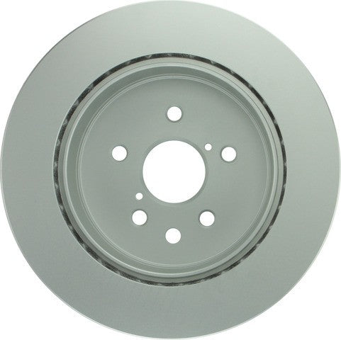 Bosch Disc Brake Rotor  50011462