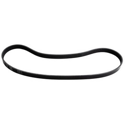 Dayco Serpentine Belt  5060453