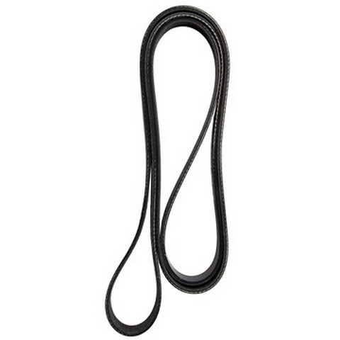 Dayco Serpentine Belt  5060740