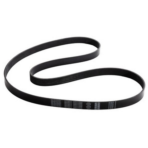 Dayco Serpentine Belt  5070671