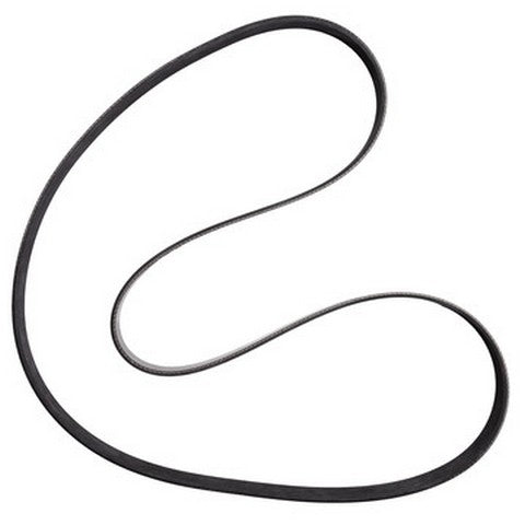 Dayco Serpentine Belt  5070671