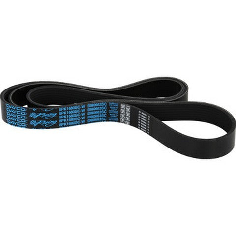 Dayco Serpentine Belt  5080663SC