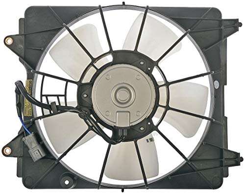 https://m.media-amazon.com/images/I/51bed3t94+L.jpg