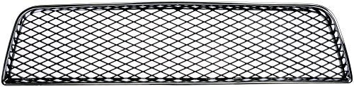 Dorman - HELP Bumper Grille Insert  45171