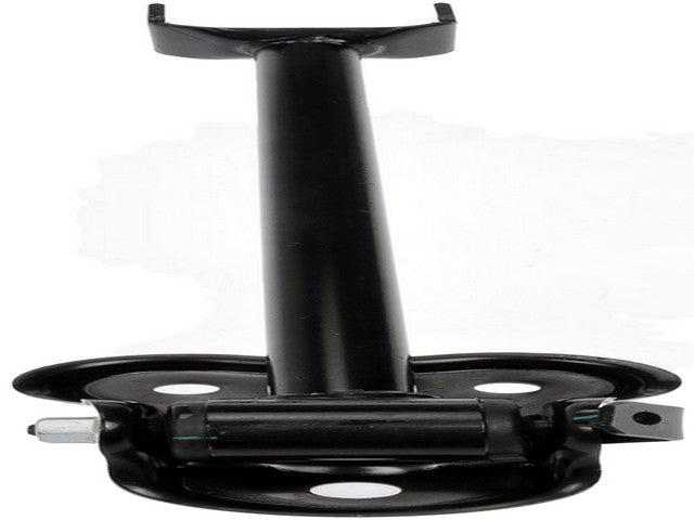 Dorman - OE Solutions Suspension Trailing Arm  520-481