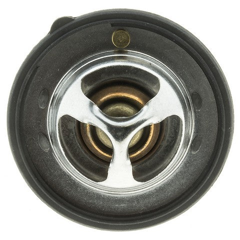 https://www.ShowMeThePartsdb.com/bin/images/MotoRad/545-180_TOP.jpg