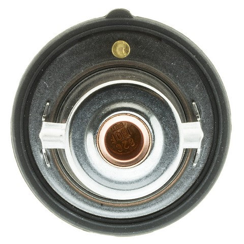 https://www.ShowMeThePartsdb.com/bin/images/MotoRad/620-180_BOTTOM.jpg