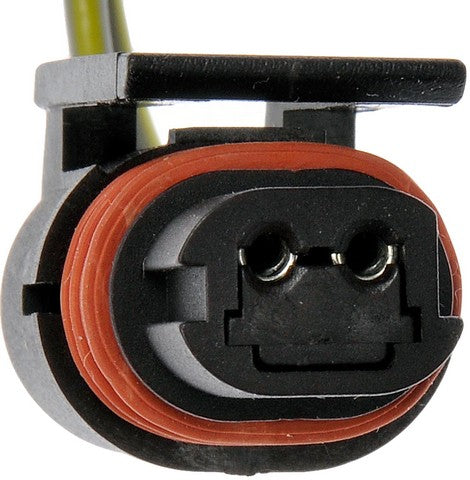 Dorman - TECHoice License Plate Light Socket  645-748
