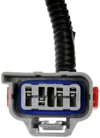 Dorman - TECHoice Tail Light Wiring Harness  645-936