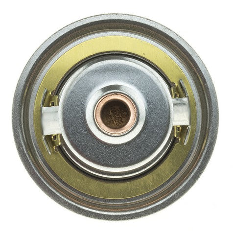 https://www.ShowMeThePartsdb.com/bin/images/MotoRad/7304-192_BOTTOM.jpg