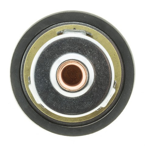 https://www.ShowMeThePartsdb.com/bin/images/MotoRad/7339-180_BOTTOM.jpg