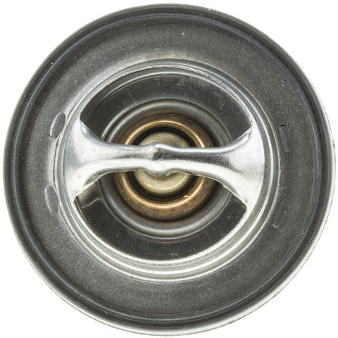 https://www.ShowMeThePartsdb.com/bin/images/MotoRad/7416-203_TOP.jpg