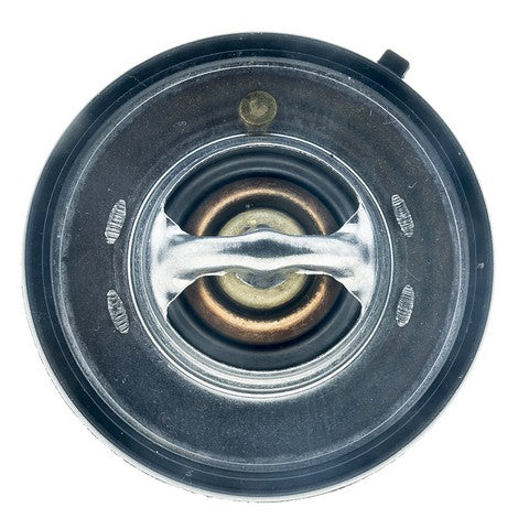 https://www.ShowMeThePartsdb.com/bin/images/MotoRad/7420-195_TOP.jpg