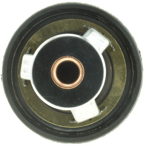 https://www.ShowMeThePartsdb.com/bin/images/MotoRad/7422-190_BOTTOM.jpg