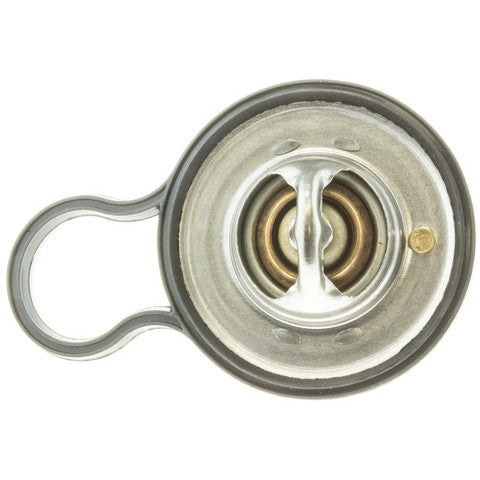 https://www.ShowMeThePartsdb.com/bin/images/MotoRad/7449-190_TOP.jpg