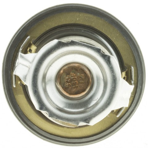 https://www.ShowMeThePartsdb.com/bin/images/MotoRad/7461-180_BOTTOM.jpg