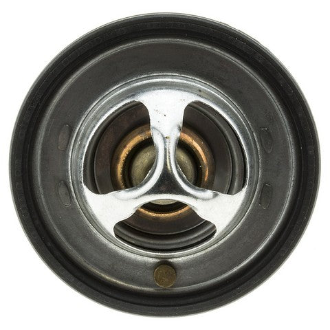 https://www.ShowMeThePartsdb.com/bin/images/MotoRad/762-189_TOP.jpg
