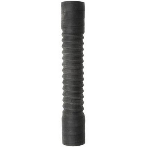 Dayco Radiator Coolant Hose  82081GL