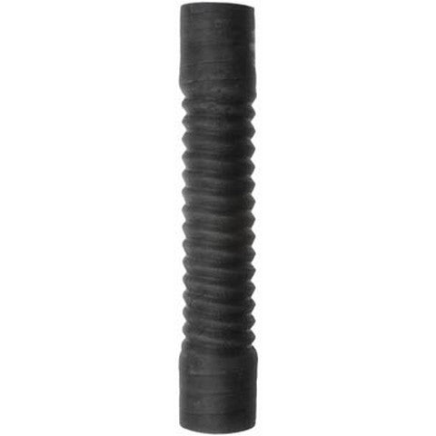 Dayco Radiator Coolant Hose  82181GL