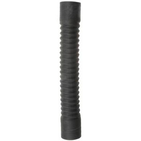 Dayco Radiator Coolant Hose  82191GL