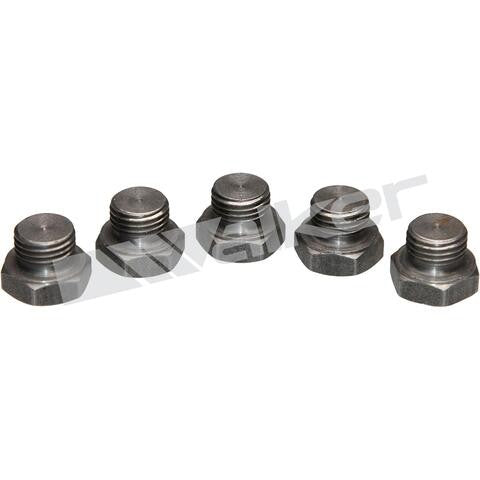 Walker Products Oxygen Sensor Bung Plug  90-204P