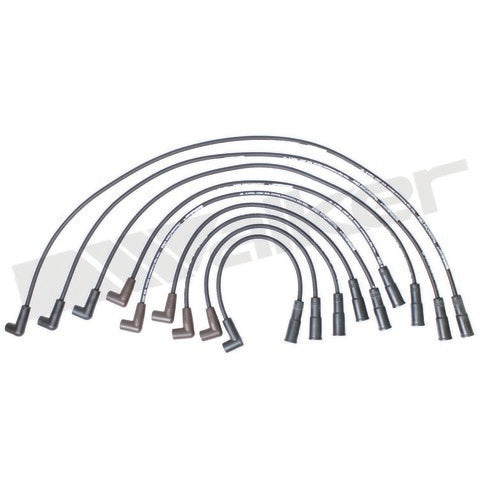 Walker Products Spark Plug Wire Set  924-1426