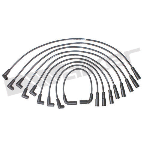 Walker Products Spark Plug Wire Set  924-1436