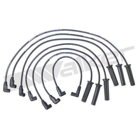 Walker Products Spark Plug Wire Set  924-1514