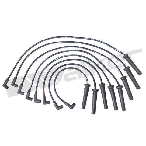 Walker Products Spark Plug Wire Set  924-1524