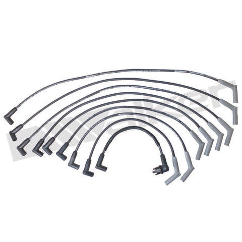Walker Products Spark Plug Wire Set  924-1604