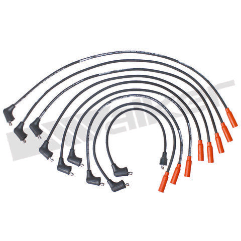Walker Products Spark Plug Wire Set  924-1663