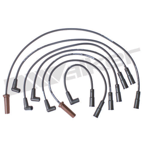 Walker Products Spark Plug Wire Set  924-1799